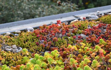the cost of Dunblane green roof installation