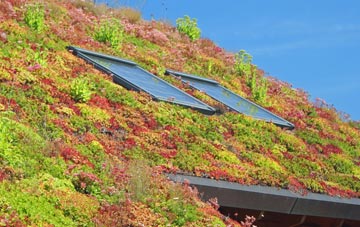 Dunblane living roof systems