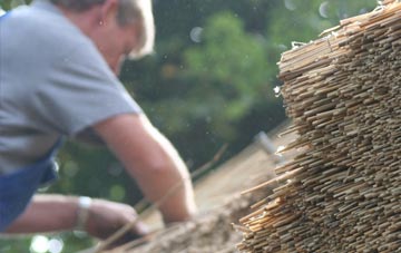 professional Dunblane thatchers